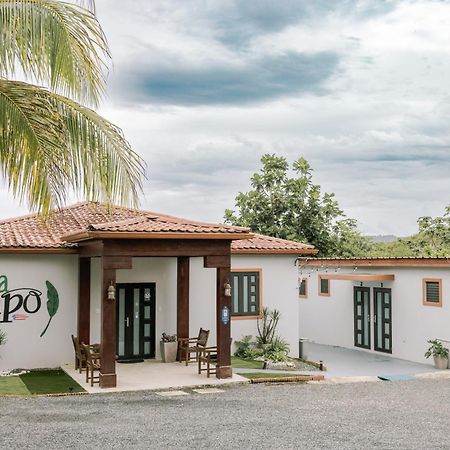 Casa Campo Bed & Breakfast San Sebastian Eksteriør bilde